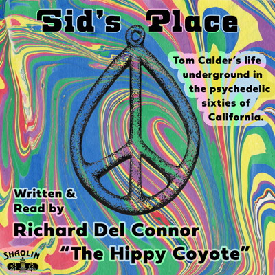 Book Cover for novel: Sid's Place by Richard Del Connor